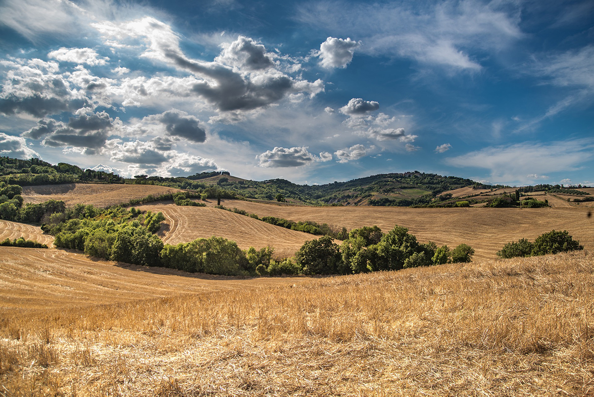 Preston Idaho Field